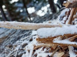 Holz im Schnee